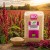 bio-planet-amarantus-ekspandowany-bio-200g-4