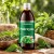 ekamedica-pokrzywa-ekstrakt-z-lisci-pokrzywy-500-ml-1