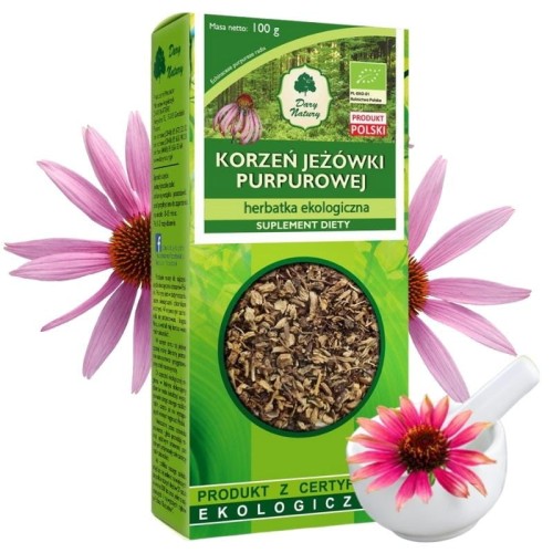 Jeżówka purpurowa korzeń (Echinaceae purpureae radix) EKO100g