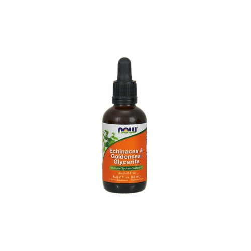 Echinacea &amp; Goldenseal Glycerite 60ml
