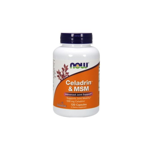 Celadrin &amp; MSM 500mg 120 kaps.