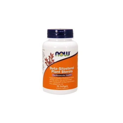 Beta-Sitosterol Plant Sterols 90 kaps.