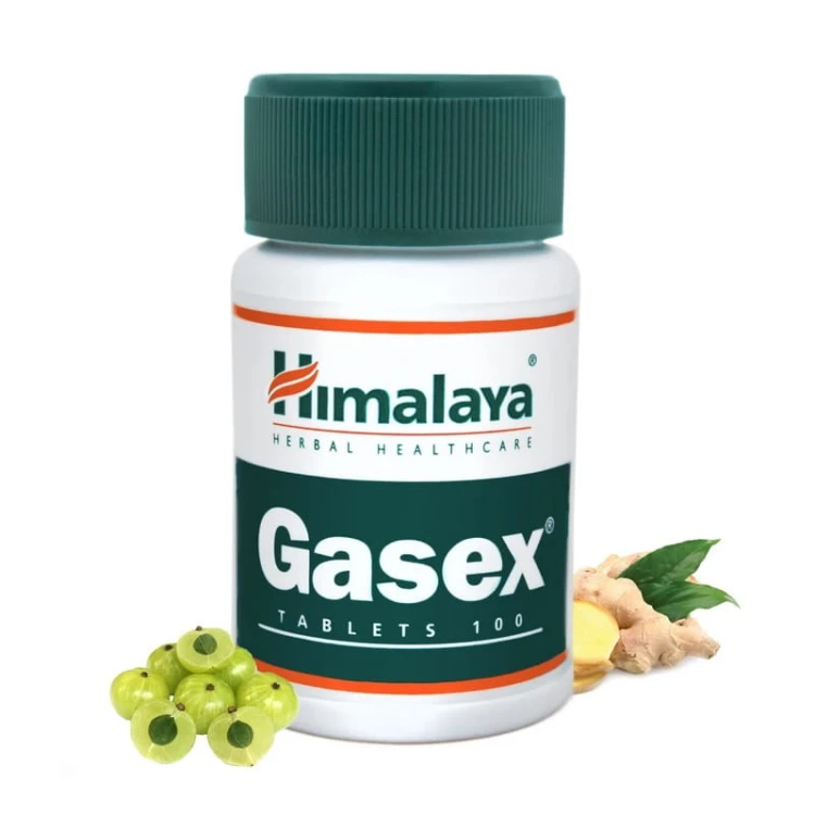 Gasex 100 tabl.