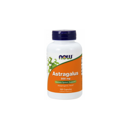Astragalus (Traganek) 500mg 100 kaps.