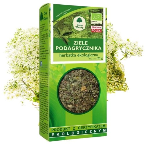 Podagrycznik ziele (Aegopodium podagraria herba) EKO 25g