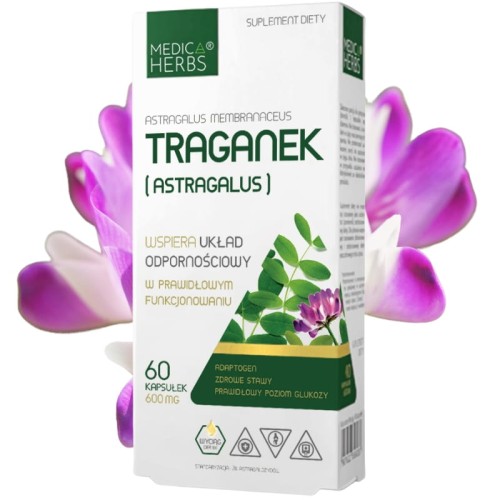 Traganek (Astragalus) 600mg 60 kaps.