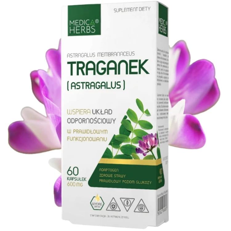 Traganek (Astragalus) 600mg 60 kaps.