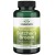 Butcher's broom 470mg 100 kaps.