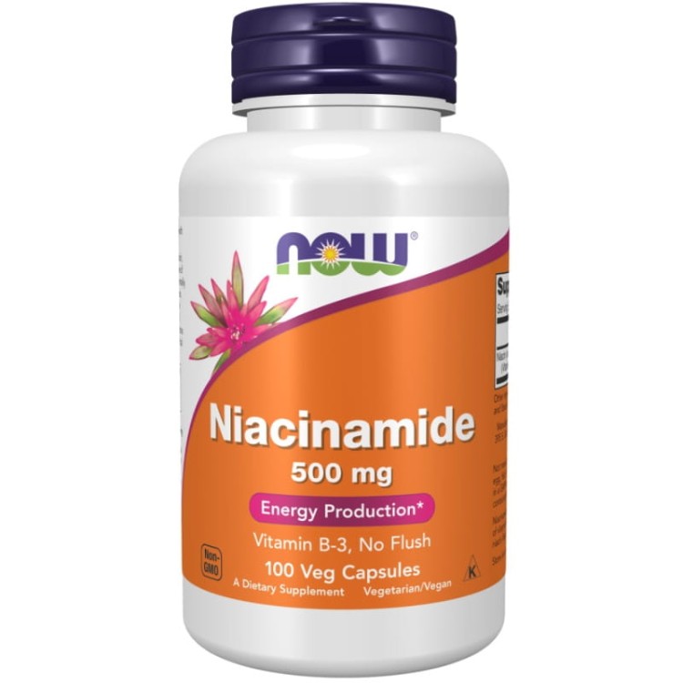 Niacinamide (Amid kwasu nikotynowego) 500mg 100 kaps.