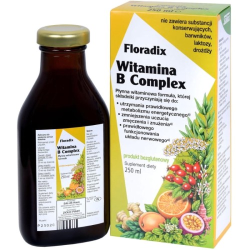 Floradix Witamina B Complex 250ml