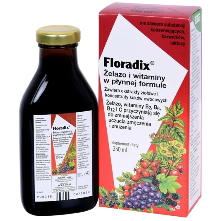 Floradix Żelazo i Witaminy Tonik 250 ml