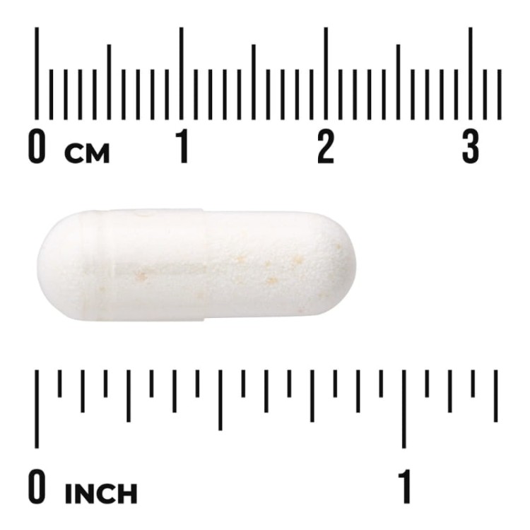 Acidophilus 100 kaps.