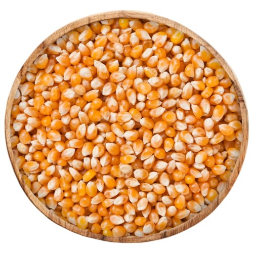 fivio-up-popcorn-ziarna-kukurydzy-1kg-1