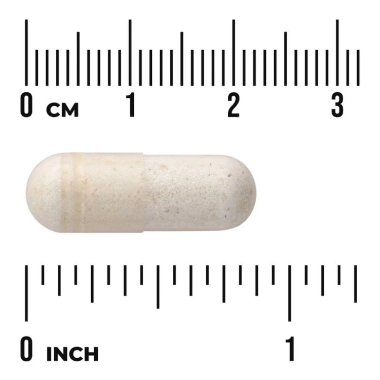 Ultimate 16 Strain Probiotic 60 kaps.