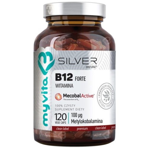 silver-b12-120kaps.jpg