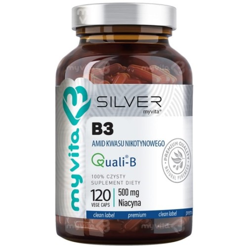 silver-witamina-500mg-b3-120kaps.jpg