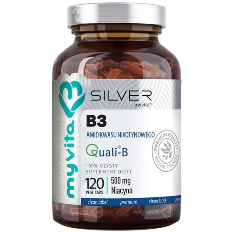 silver-witamina-500mg-b3-120kaps.jpg