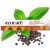 ef361037dcb62cdb86d383904e48b917