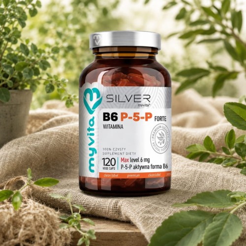 silver-witamina-b6-p5p-forte-120kaps (2).jpg